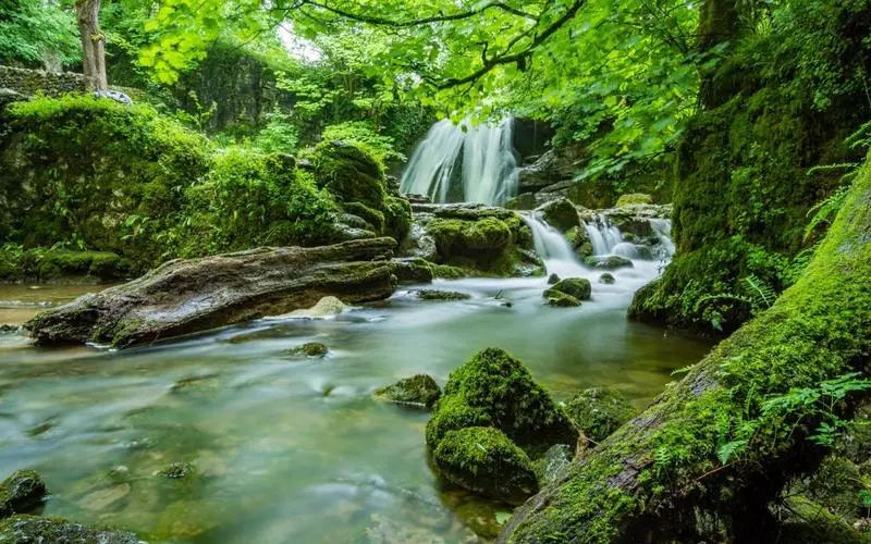 高效智能化环保